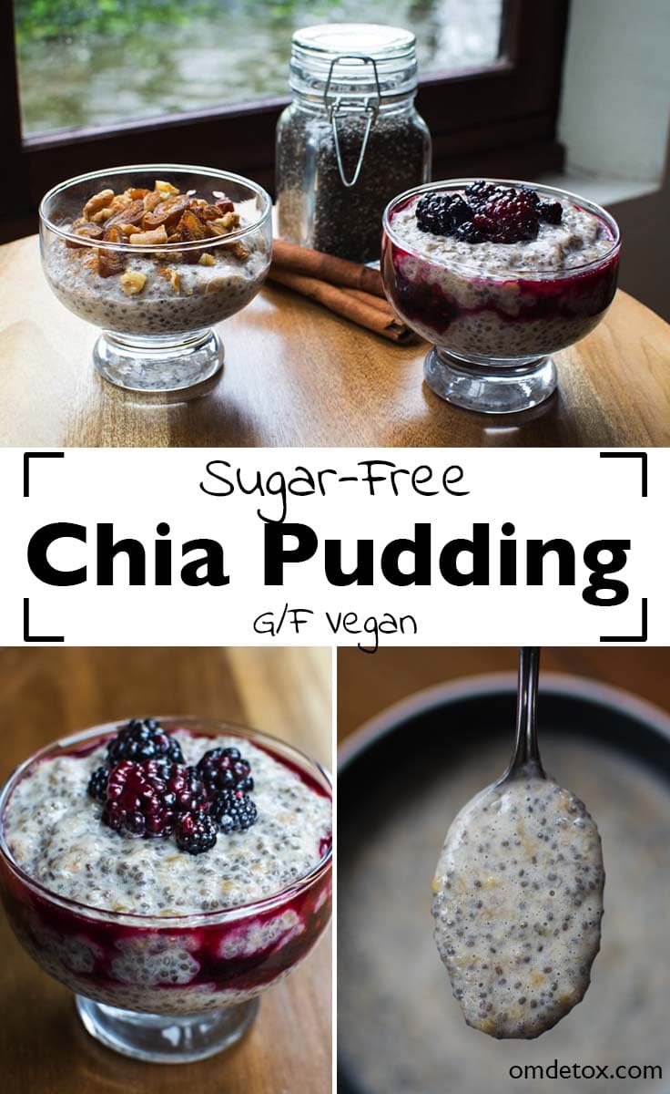 East to Make Sugar-Free Chia Pudding.