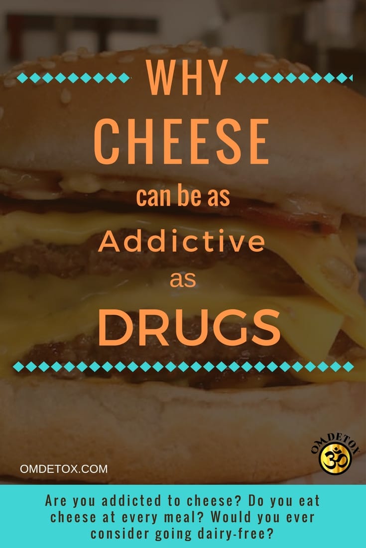 Cheese is addictive